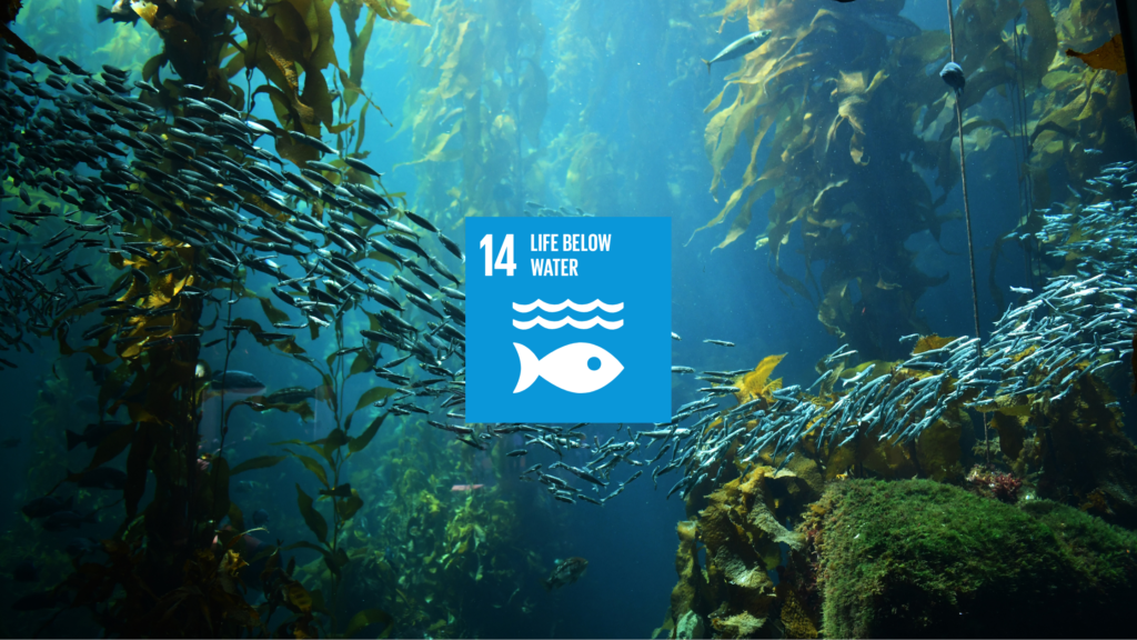 Achieving Sustainable Development: SDG 14 Life Below Water