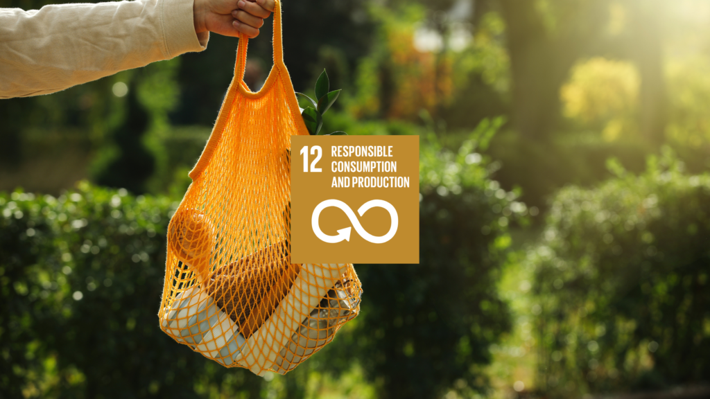 SDG 12 Responsible Consumption and Production