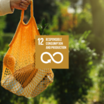 SDG 12 Responsible Consumption and Production