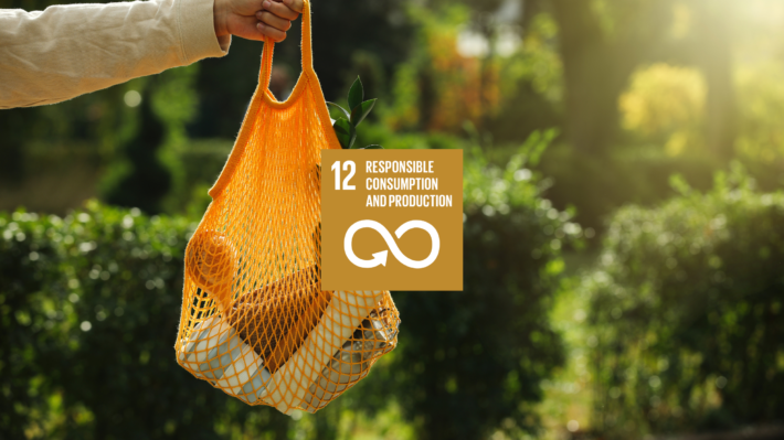 SDG 12 Responsible Consumption and Production